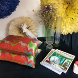 DHAY CUSHION - TERRACOTTA & TRUE GREEN