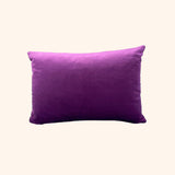 Jeego Cushion - Pink & Mauve